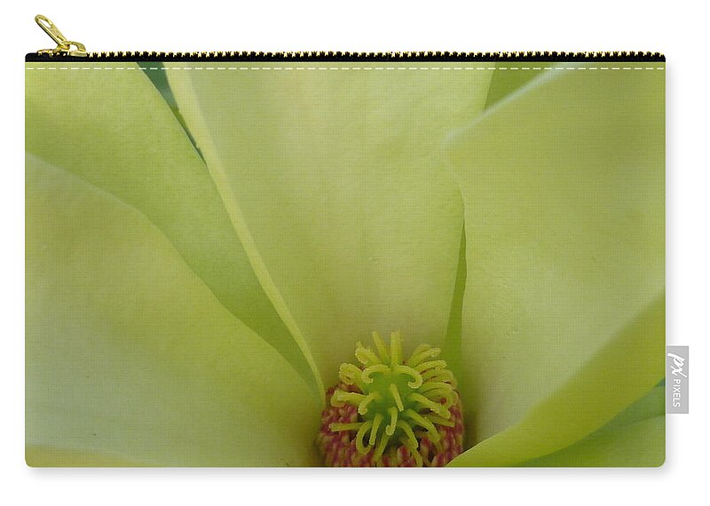 Garden Zip Pouch featuring the photograph Green with Envy by Lingfai Leung
