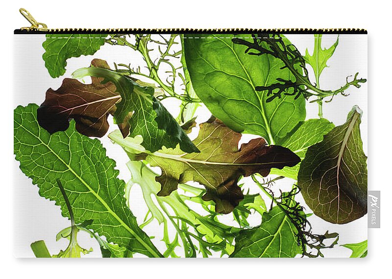 White Background Zip Pouch featuring the photograph Greens On White by Jack Andersen