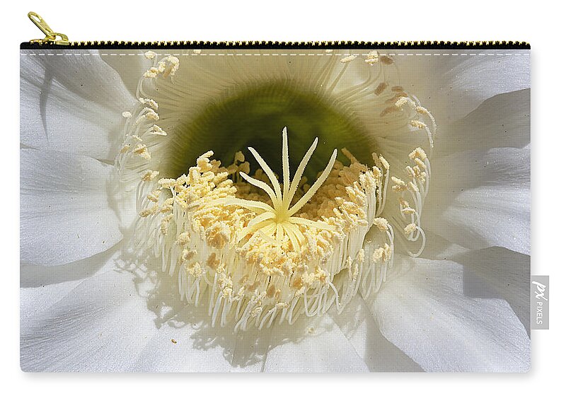 Flower Zip Pouch featuring the photograph Greeting A New Day by Phyllis Denton