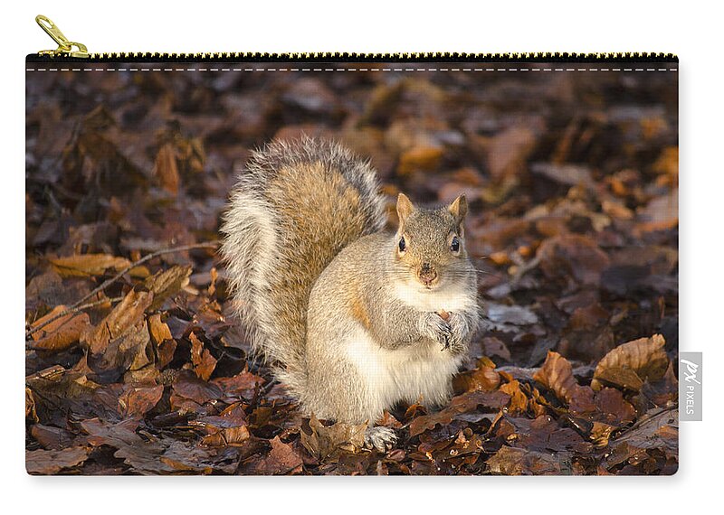Squirrel Carry-all Pouch featuring the photograph Grey squirrel by Spikey Mouse Photography