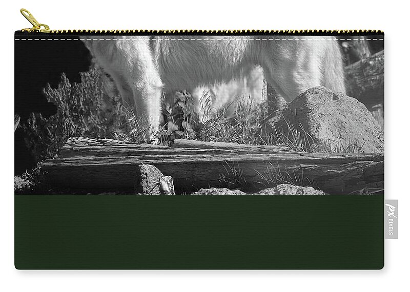 Wolf Zip Pouch featuring the photograph North American Wolf by Aidan Moran
