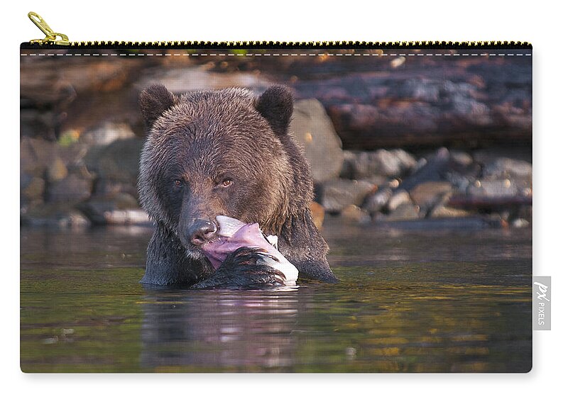 Grizzly Zip Pouch featuring the photograph Grizzly and Salmon by Bill Cubitt