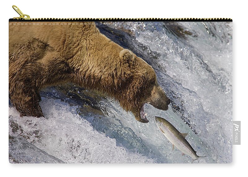 00437111 Zip Pouch featuring the photograph Grizzly Bear Catching Salmon by Matthias Breiter