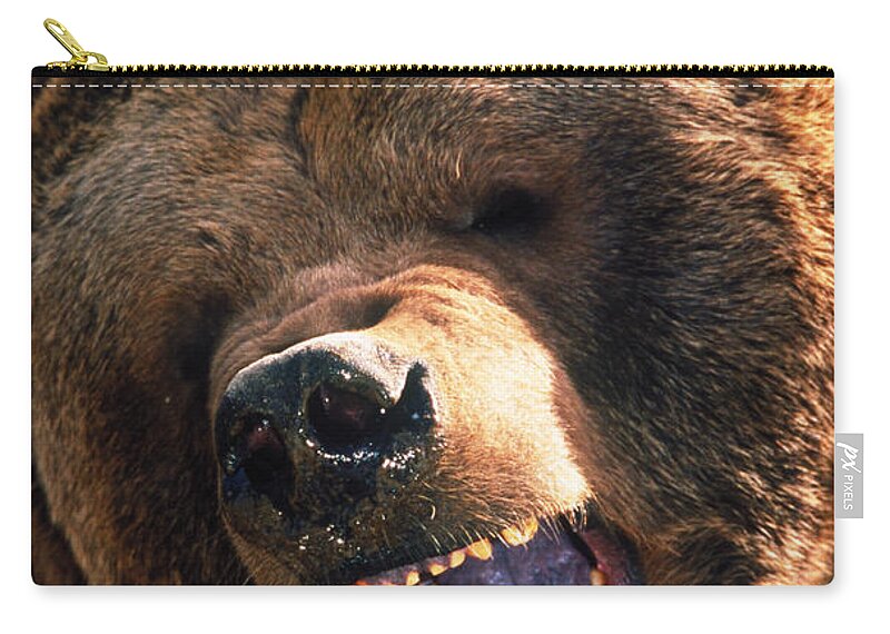 Grizzly Bear Zip Pouch featuring the photograph Grizzly Bear Snarling by Mark Newman