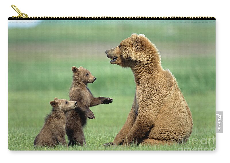 00345262 Zip Pouch featuring the photograph Grizzly Cubs with Mother by Yva Momatiuk and John Eastcott