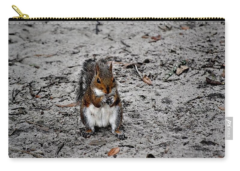 Squirrel Zip Pouch featuring the photograph Ground Squirrel by Tara Potts