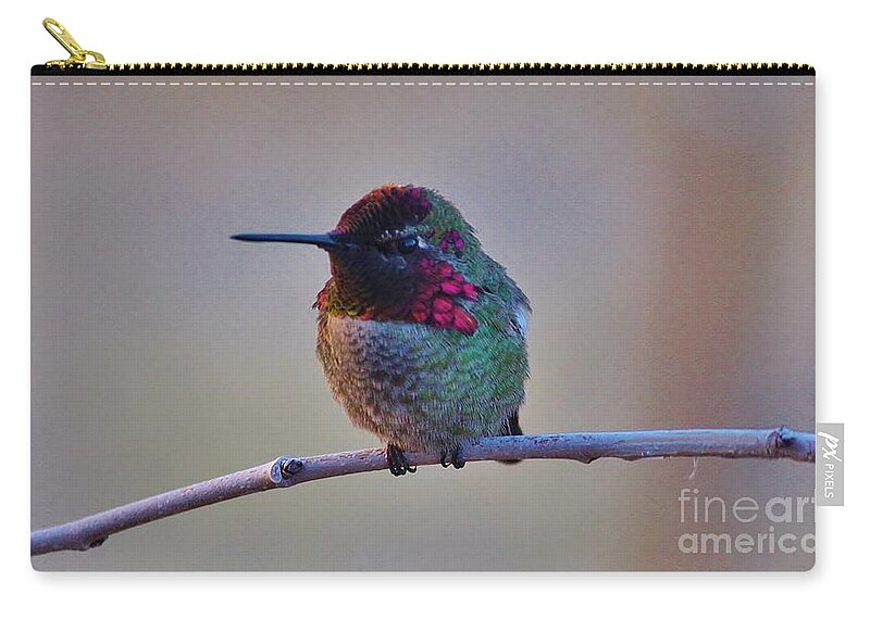 Hummingbird Zip Pouch featuring the photograph Grumpy by Marcia Breznay