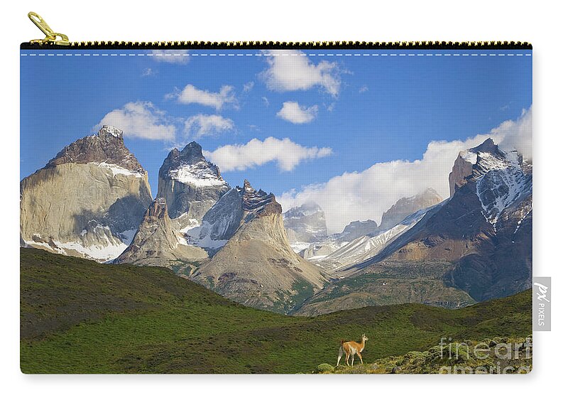 00345710 Zip Pouch featuring the photograph Guanaco And Cuernos Del Paine Peaks by Yva Momatiuk John Eastcott
