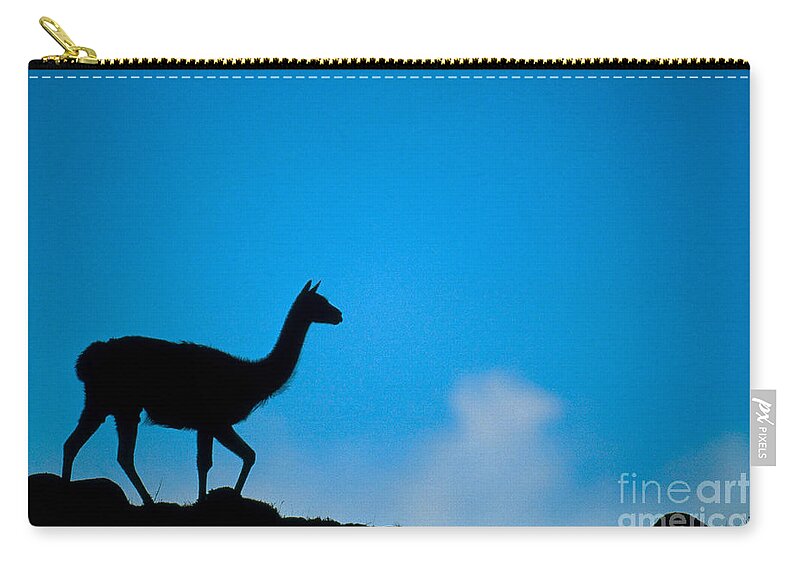 Animal Zip Pouch featuring the photograph Guanaco Walking In Silhouette by Art Wolfe