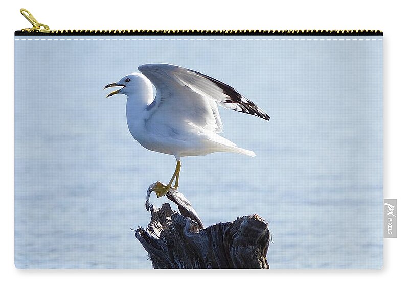 Gull Zip Pouch featuring the photograph Gull - able by Steven Clipperton