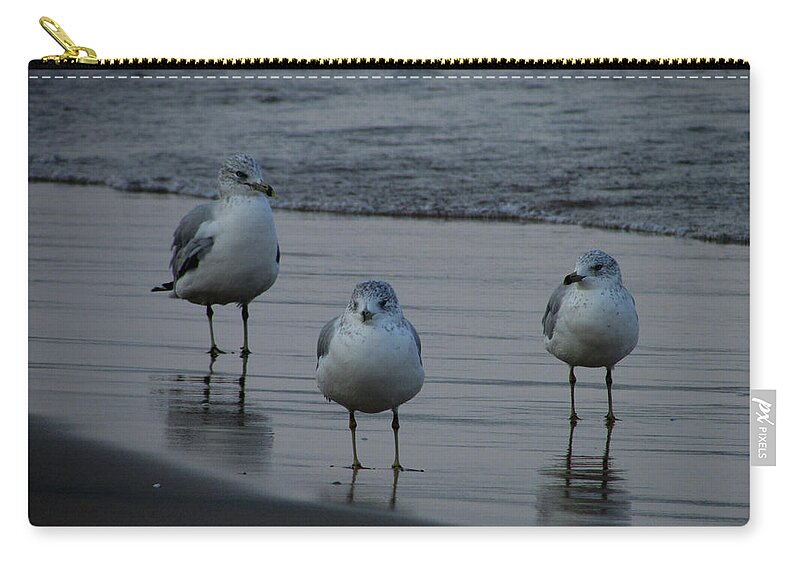 Gulls Zip Pouch featuring the photograph Gulls Night Out by Kimberly Mackowski