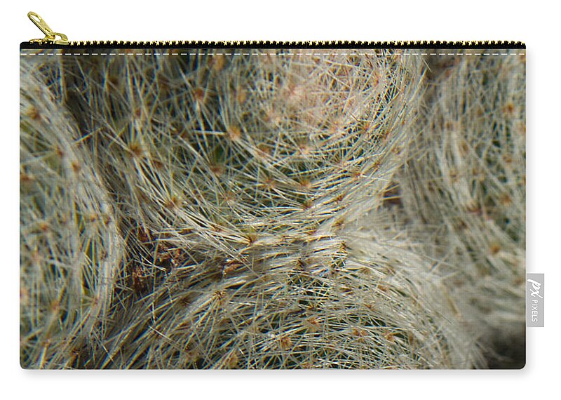 Hairy Zip Pouch featuring the photograph Hairy Cactus 1 by Douglas Barnett