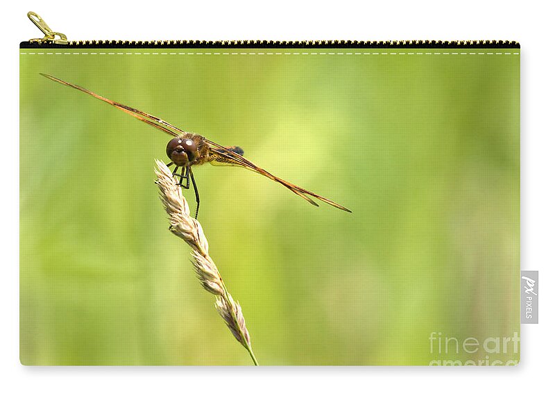 Tiger Striped Dragonfly Zip Pouch featuring the photograph Hang On by Cheryl Baxter