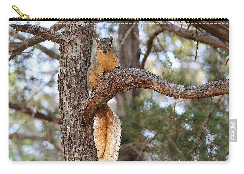  Zip Pouch featuring the photograph Hangin' out by Christy Pooschke