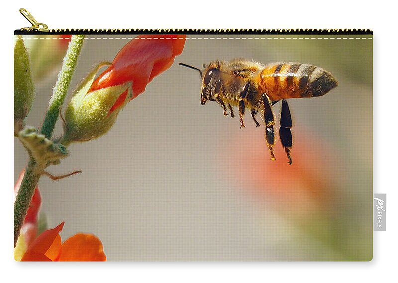 Busy Zip Pouch featuring the photograph Hangin Six by Joe Schofield