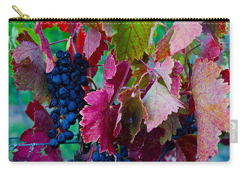 Grapes Zip Pouch featuring the photograph Hanging in there by Kent Nancollas