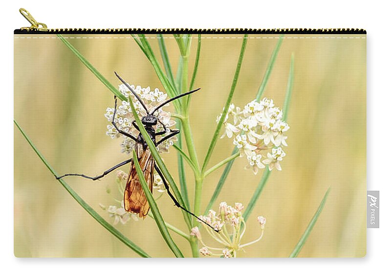 Hanging On Zip Pouch featuring the photograph Hanging On by Debra Martz
