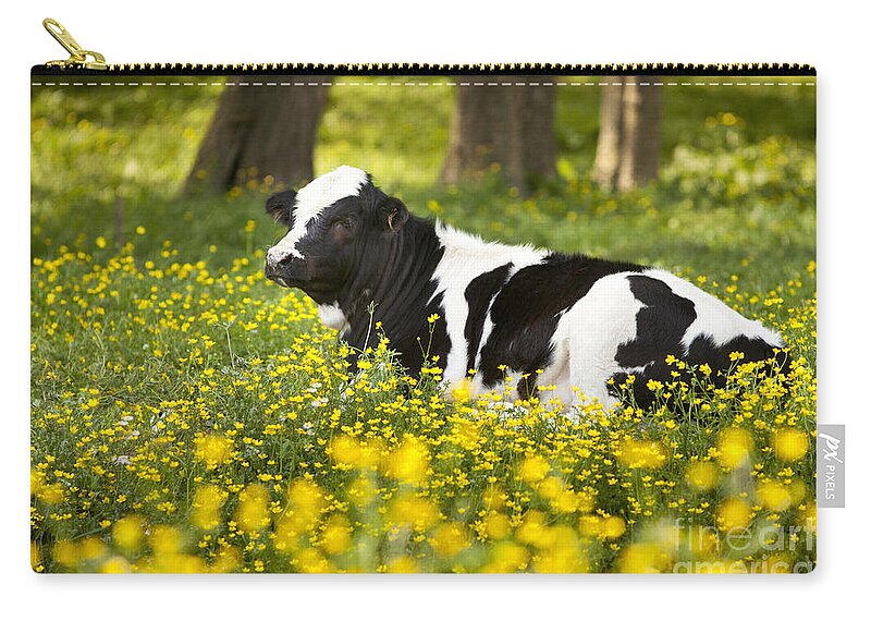 Cow Zip Pouch featuring the photograph Happy Cow by Brian Jannsen