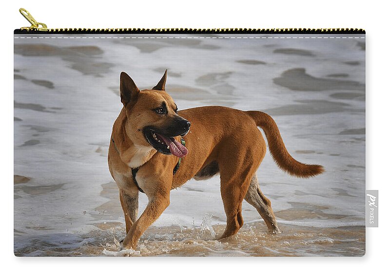 Dog Zip Pouch featuring the photograph Happy Dogs 5 by Xueling Zou