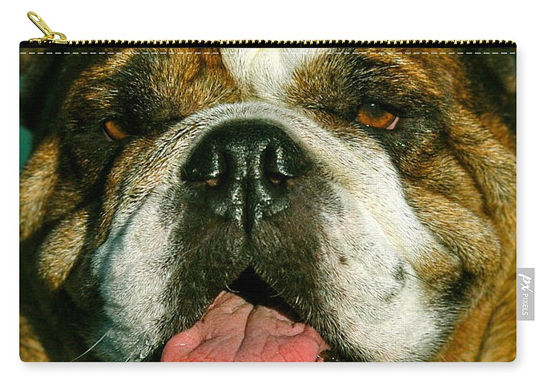 Dogs Zip Pouch featuring the photograph Happy the english bulldog by Lehua Pekelo-Stearns