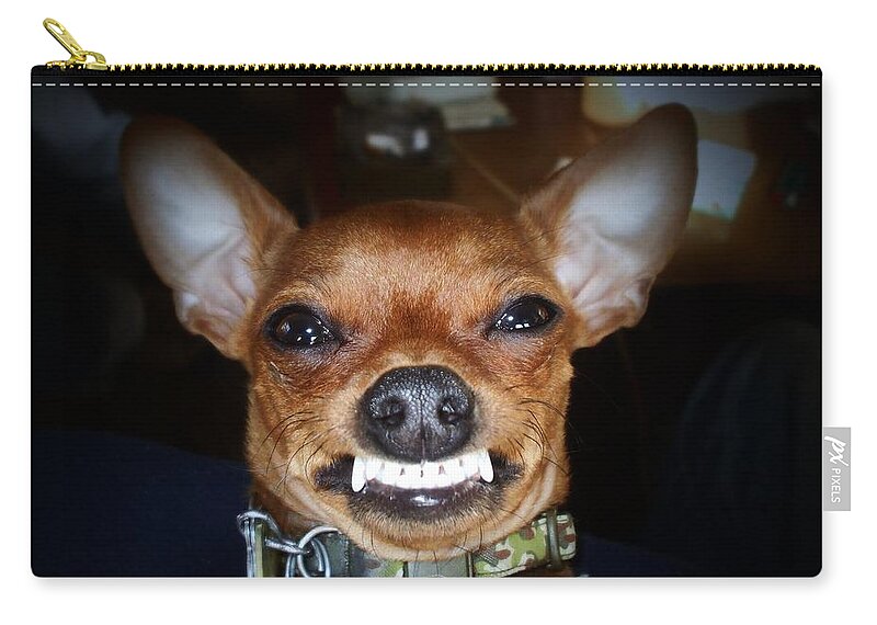 Chihuahua Carry-all Pouch featuring the photograph Happy Max by Shana Rowe Jackson
