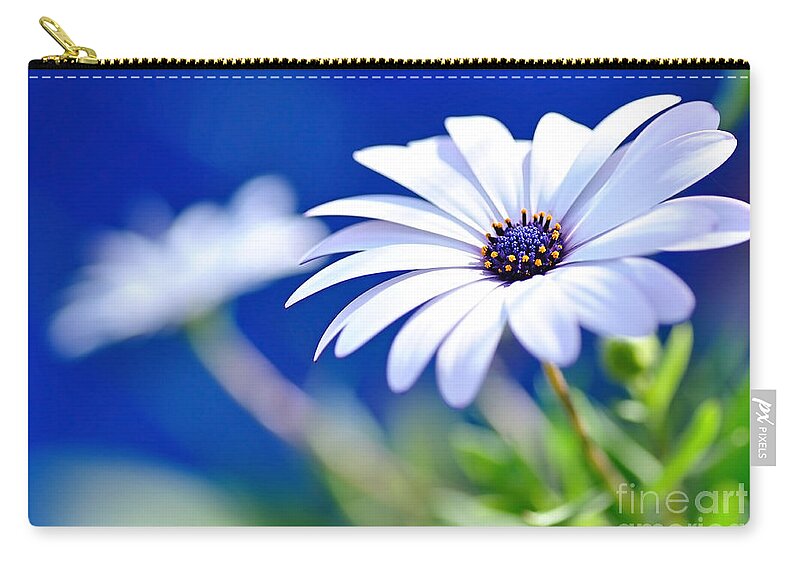 Photography Zip Pouch featuring the photograph Happy White Daisy 2- Blue Bokeh by Kaye Menner