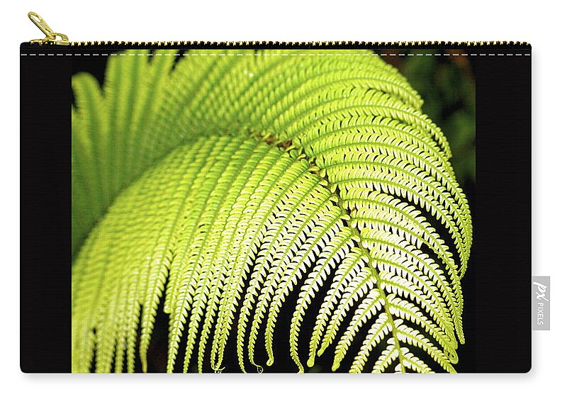 Hawaii Plants Zip Pouch featuring the photograph Hapu'u Fern Frond by Lehua Pekelo-Stearns
