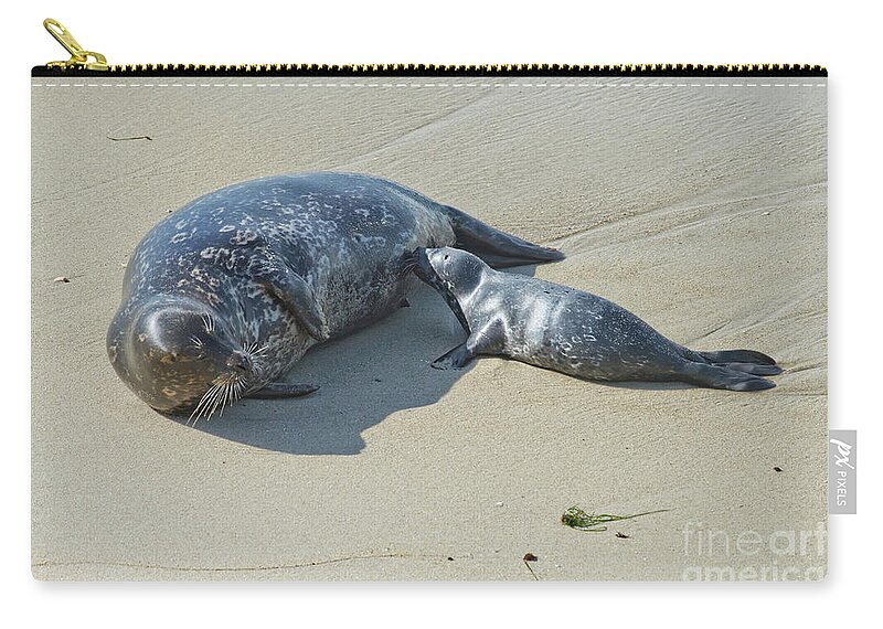 Harbor Seal Zip Pouch featuring the photograph Harbor Seal Suckling Young by Anthony Mercieca