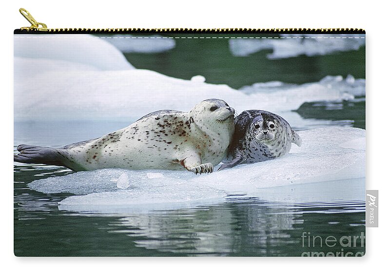 Harbor Seal Zip Pouch featuring the photograph Harbor Seals by Art Wolfe
