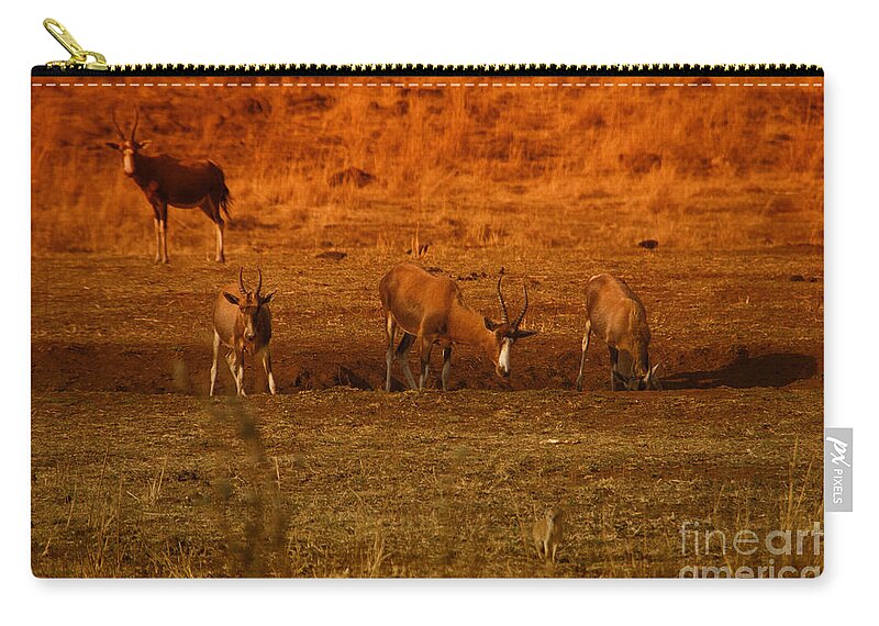 Hartbeest Zip Pouch featuring the photograph Hartbeest at the Waterhole by Douglas Barnard