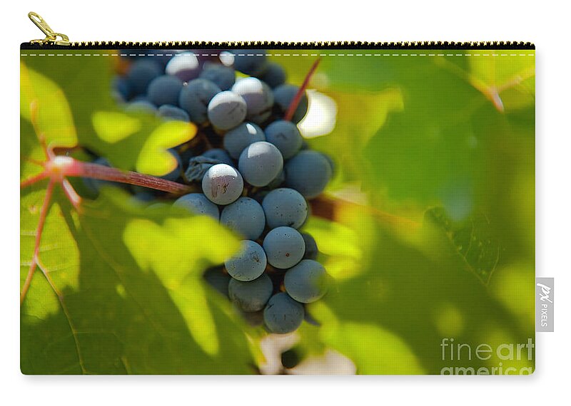 Abstract Zip Pouch featuring the photograph Harvest Season 3 by Jonathan Nguyen