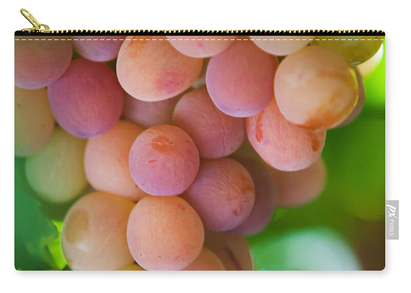 Grape Zip Pouch featuring the photograph Harvest Time. Sunny Grapes by Jenny Rainbow