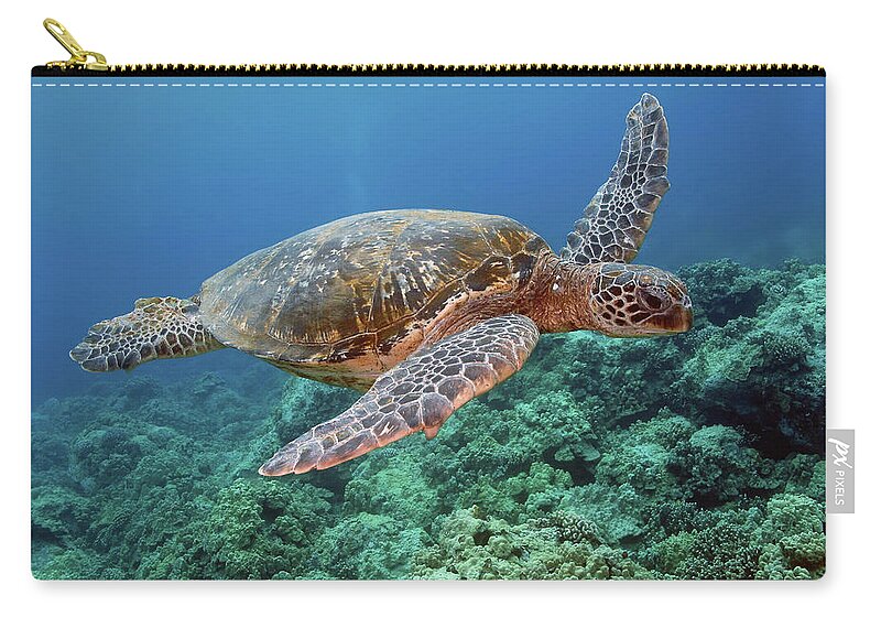 Underwater Carry-all Pouch featuring the photograph Hawaiian Green Sea Turtle, Kona, Hawaii by Stevedunleavy.com