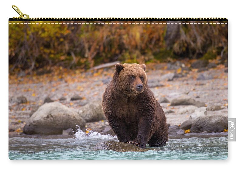 Bear Zip Pouch featuring the photograph Headed In by Kevin Dietrich