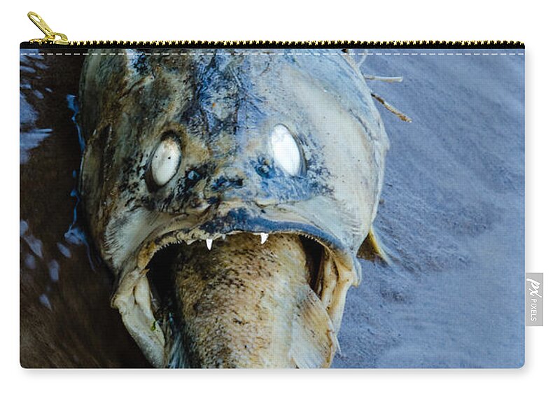 Freidlund Zip Pouch featuring the photograph Heads Or Tails by Paul Freidlund