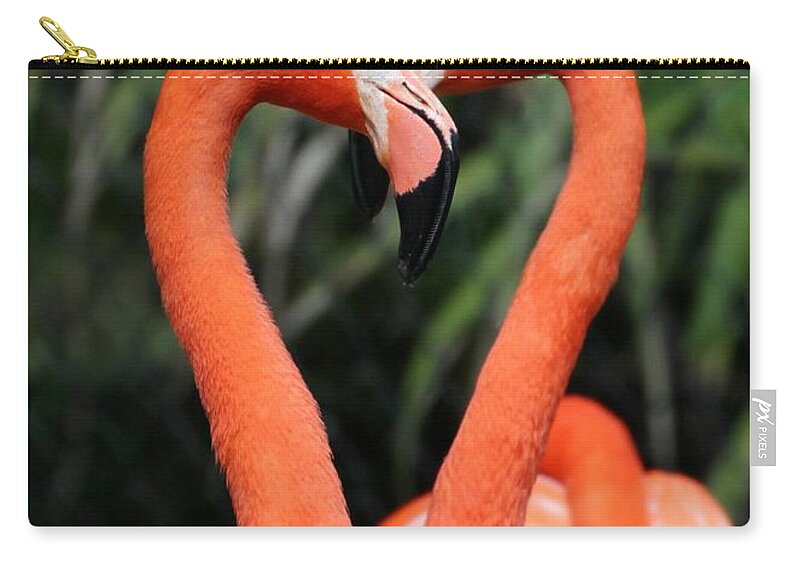Flamingo Zip Pouch featuring the photograph Heart to Heart Flamingo's by Sabrina L Ryan