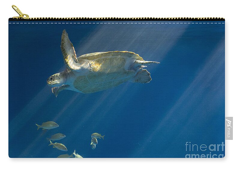 Sea Zip Pouch featuring the photograph Heavenly Turtle by Louise Magno