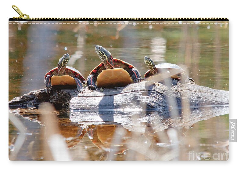 Painted Turtle Zip Pouch featuring the photograph Hello Hello Hello by Cheryl Baxter