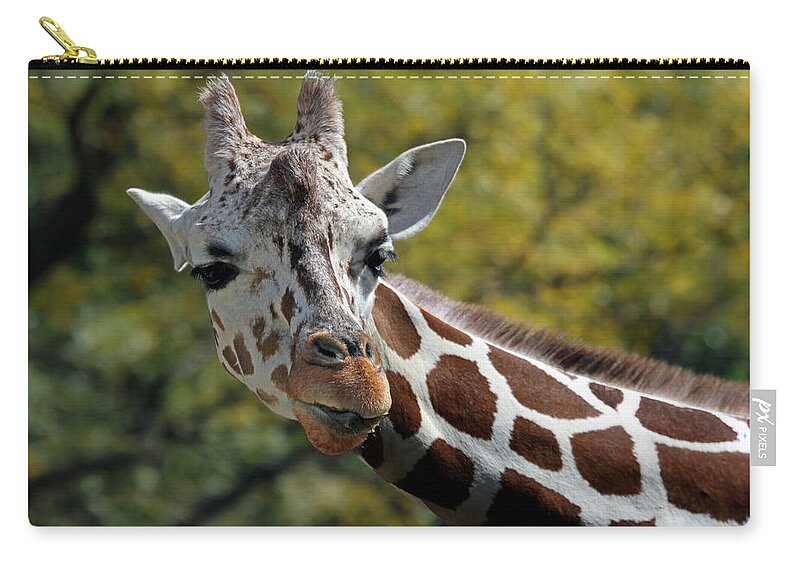 Giraffe Zip Pouch featuring the photograph Hello by Jackson Pearson