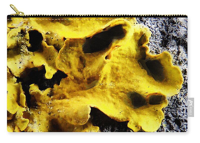Tree Zip Pouch featuring the photograph Hello Yellow by Steve Taylor