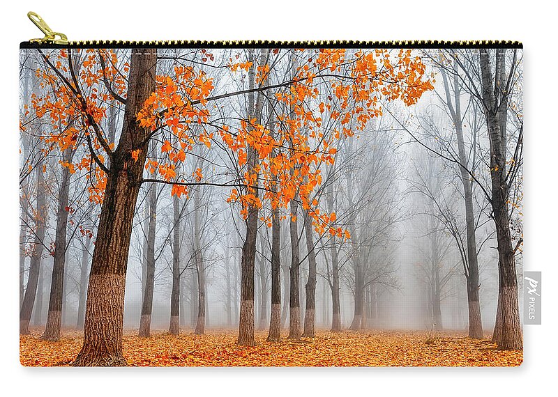 Bulgaria Carry-all Pouch featuring the photograph Heralds Of Autumn by Evgeni Dinev
