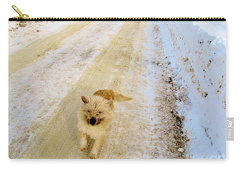 Dog Zip Pouch featuring the photograph Here I Come by Ramona Matei