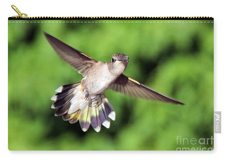 Colorado Zip Pouch featuring the photograph Here's looking at you by Bob Hislop