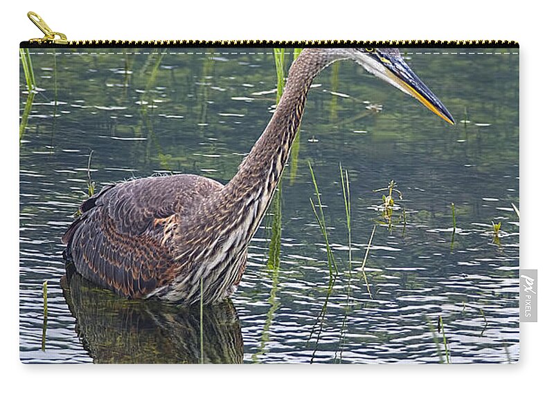 Great Blue Heron Zip Pouch featuring the photograph Heron Hunting 2 by Sharon Talson
