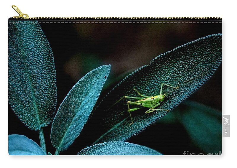Sage Zip Pouch featuring the photograph Hey I'm trying to Hide by Debra Fedchin