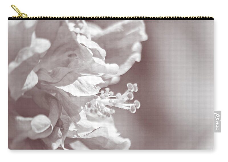 Hibiscus Zip Pouch featuring the photograph Hibiscus In Sunlight by Carolyn Marshall