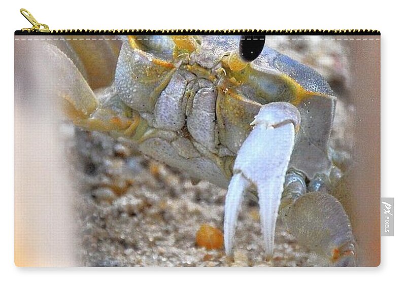 Crab Zip Pouch featuring the photograph Hidden Away - Sandcrab by Kim Bemis