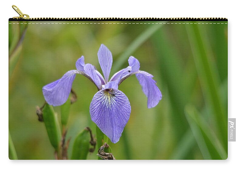 Outdoors Zip Pouch featuring the photograph Hidden Companions by David Porteus