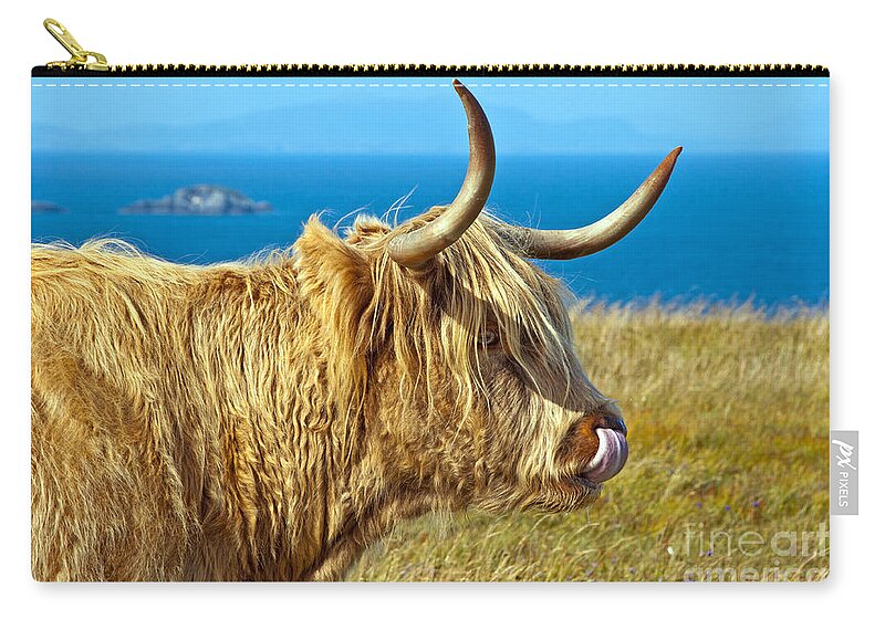 Highland Cattle Zip Pouch featuring the photograph Highland Beauty by Bel Menpes
