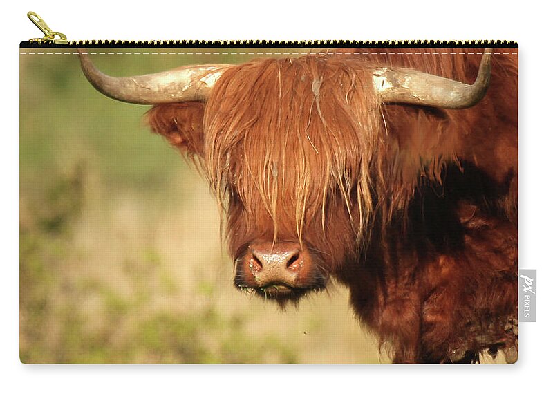 Horned Zip Pouch featuring the photograph Highland Bull by Photography By Linda Lyon
